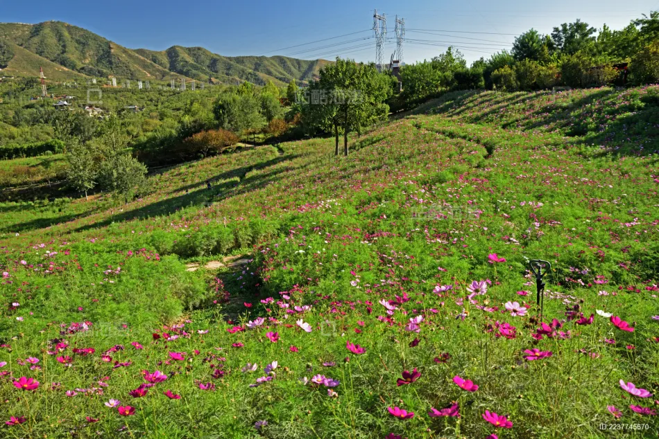 鹿泉区鹿泉区移动宽带